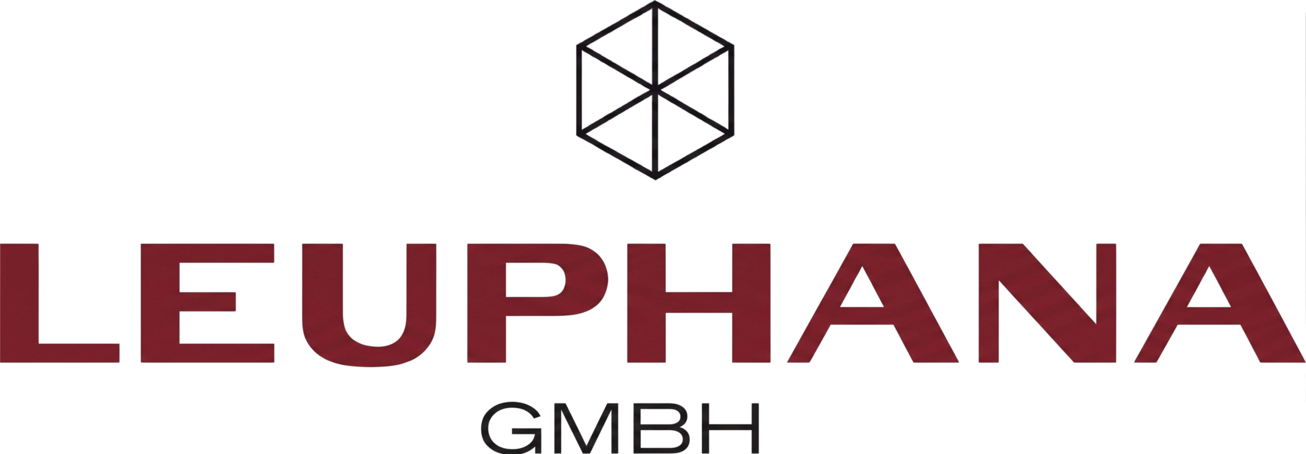 Leuphana GmbH